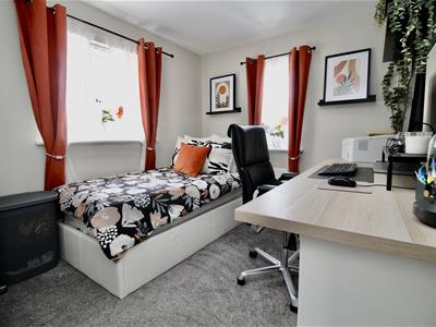 Picture 7